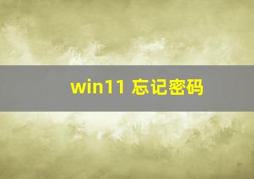 win11 忘记密码